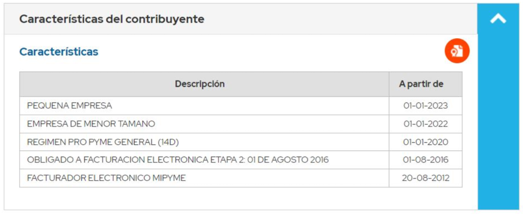 Tamaño empresa SII Pinchaqui.cl