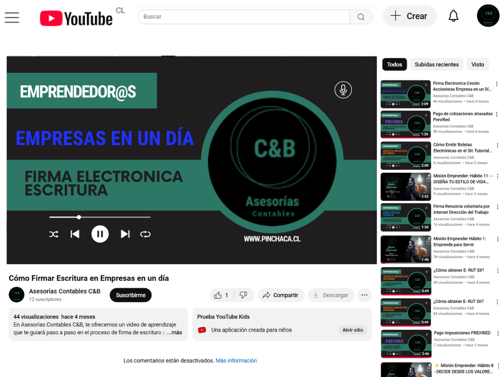 Canal YouTube Pinchaca.cl